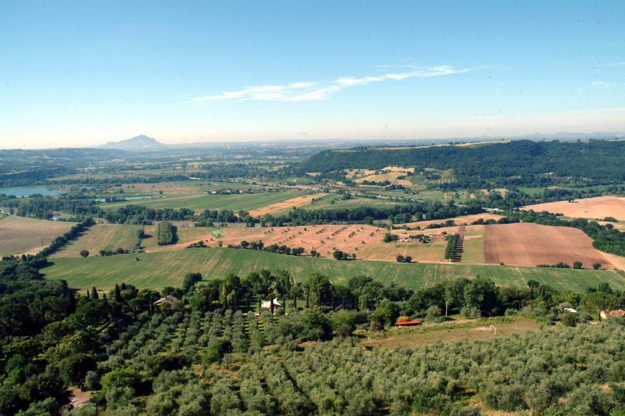 B&B Il Castello San Vito  Bagian luar foto